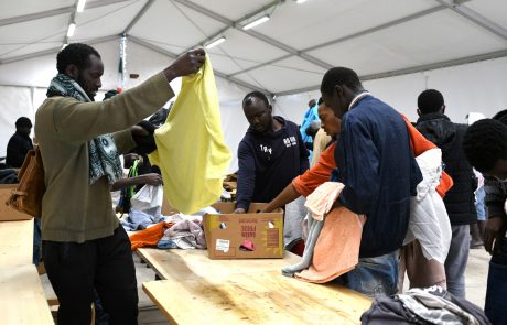 DSC_3457_bearb (Large)